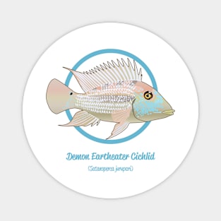 Demon Eartheater Cichlid Magnet